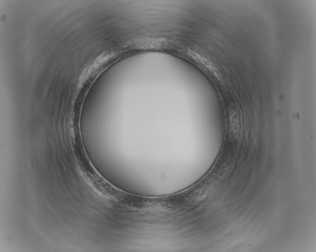 X0000075410682200609291707