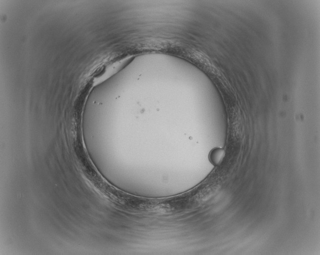 X0000075410683200609291707