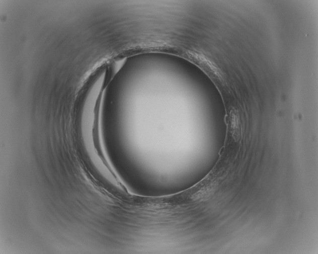 X0000075410684200609291707