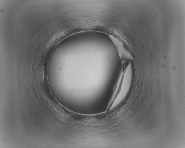 X0000075410685200609291707