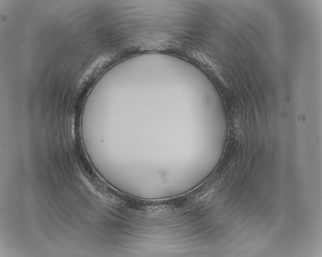 X0000075410686200609291707