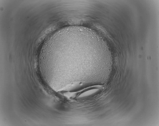 X0000075410687200609291707