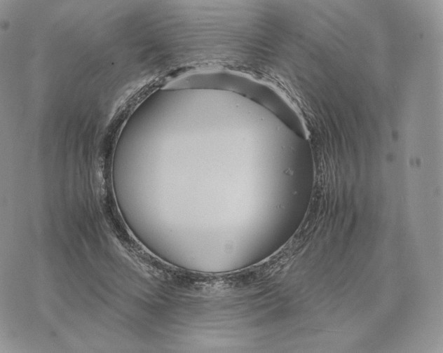 X0000075410688200609291707