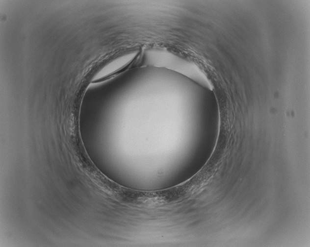 X0000075410689200609291706