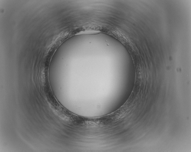 X0000075410690200609291706