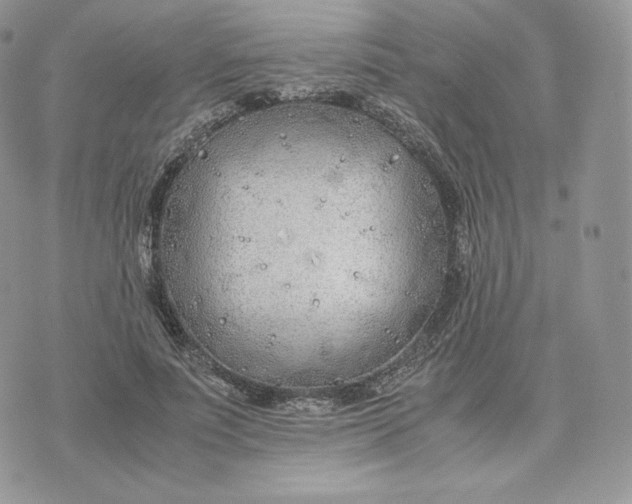 X0000075410691200609291706