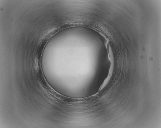 X0000075410692200609291706