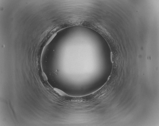 X0000075410693200609291706