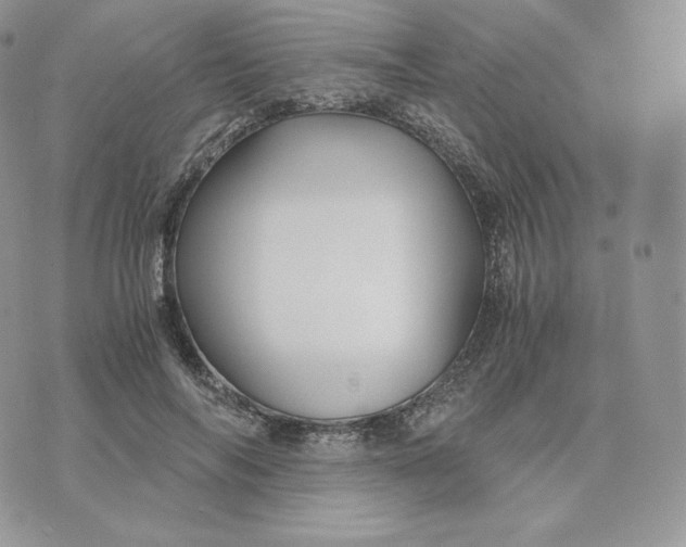 X0000075410694200609291706