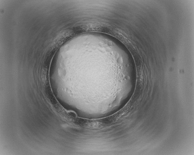 X0000075410695200609291706