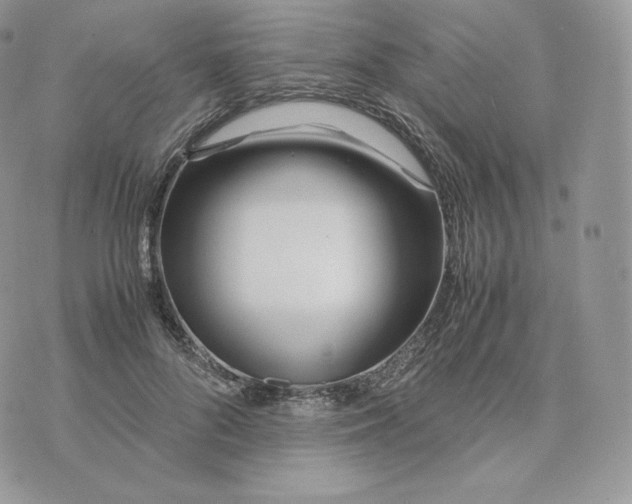 X0000075410696200609291706