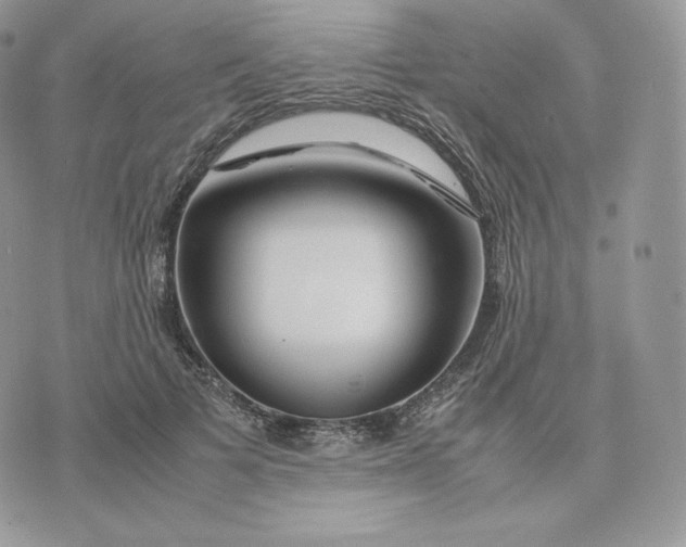 X0000075410697200609291706