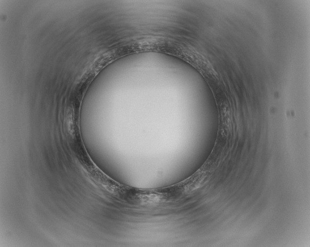 X0000075410698200609291706