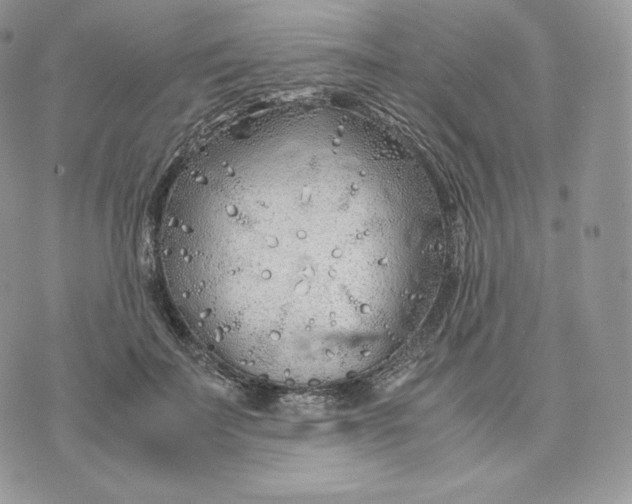 X0000075410699200609291706