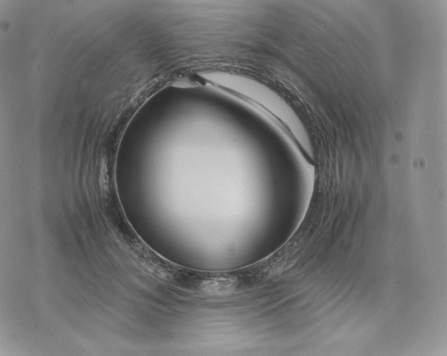 X0000075410700200609291706