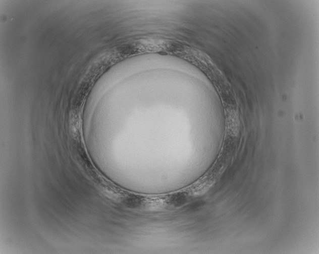 X0000075410701200609291706