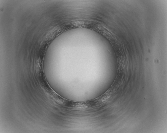 X0000075410702200609291706