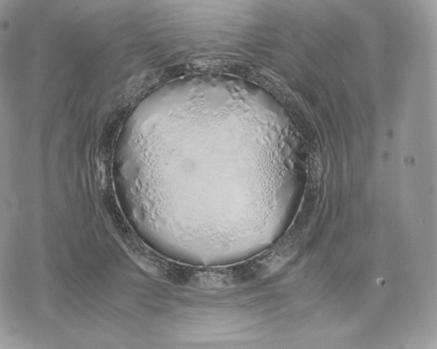 X0000075410703200609291706