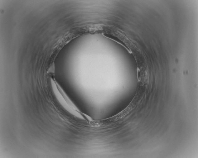 X0000075410704200609291706