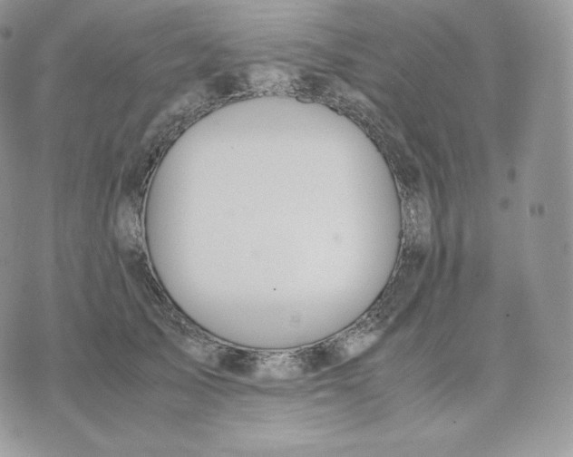 X0000075410705200609291706