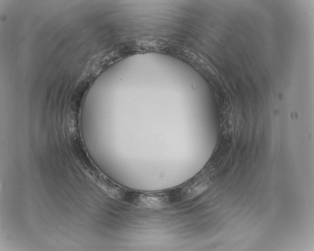 X0000075410706200609291706