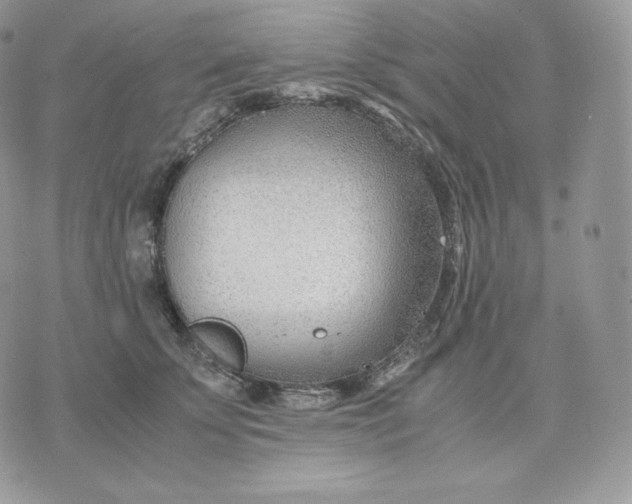 X0000075410707200609291706