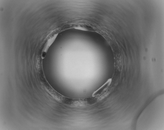 X0000075410708200609291706