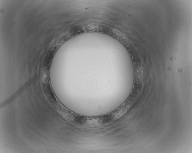 X0000075410709200609291706