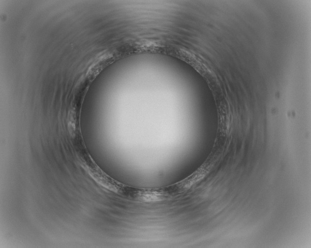 X0000075410710200609291706