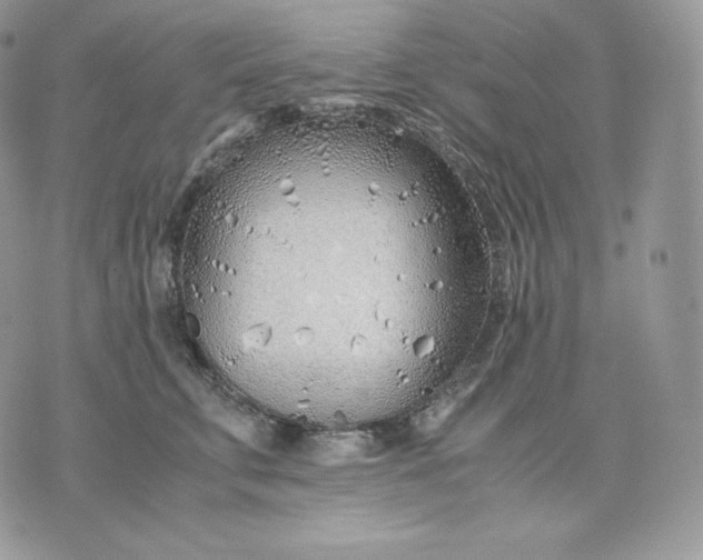 X0000075410711200609291706