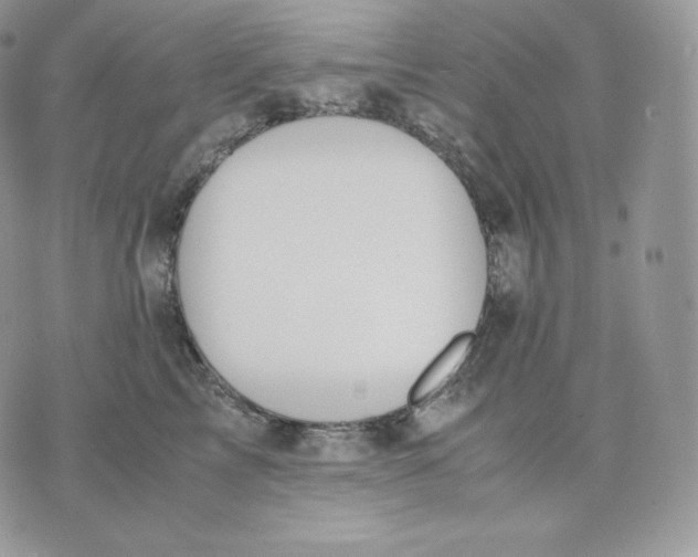 X0000075410713200609291706