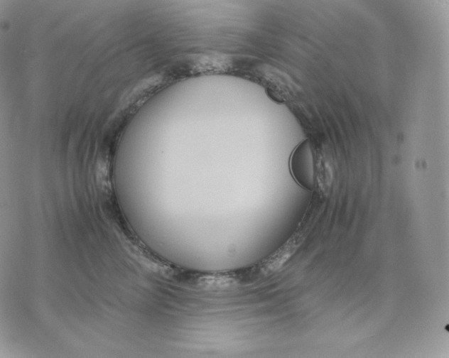 X0000075410714200609291706