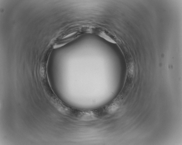 X0000075410715200609291706