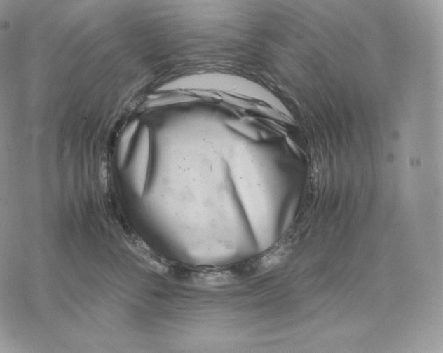 X0000075410716200609291706