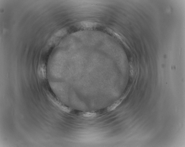 X0000075410718200609291706