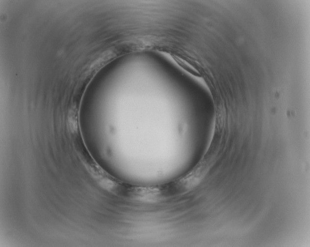 X0000075410719200609291706