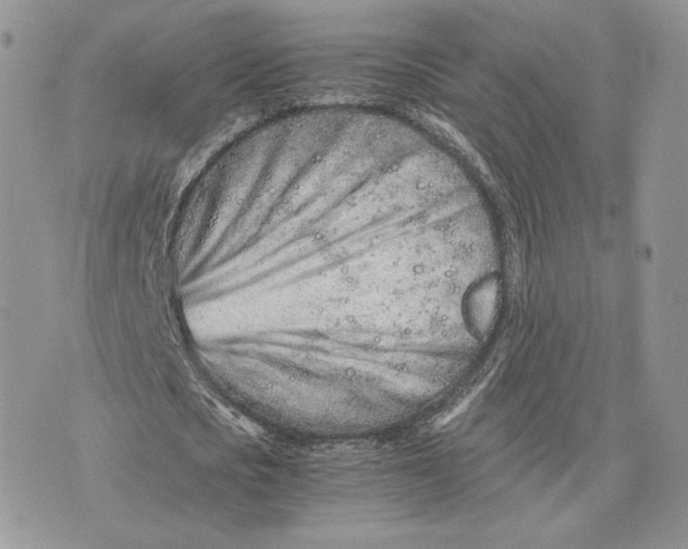 X0000075410721200609291705