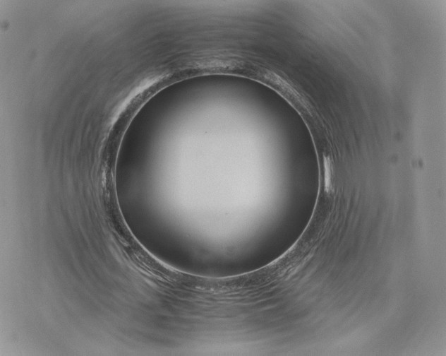 X0000075410723200609291705