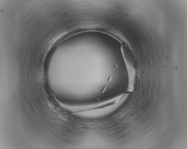 X0000075410724200609291705