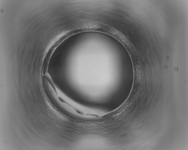 X0000075410726200609291705