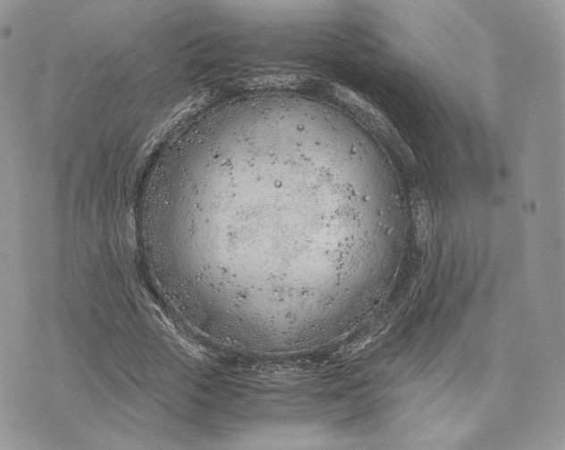 X0000075410729200609291705