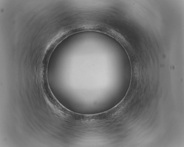 X0000075410730200609291705