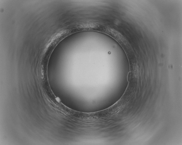 X0000075410731200609291705