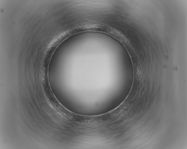 X0000075410732200609291705