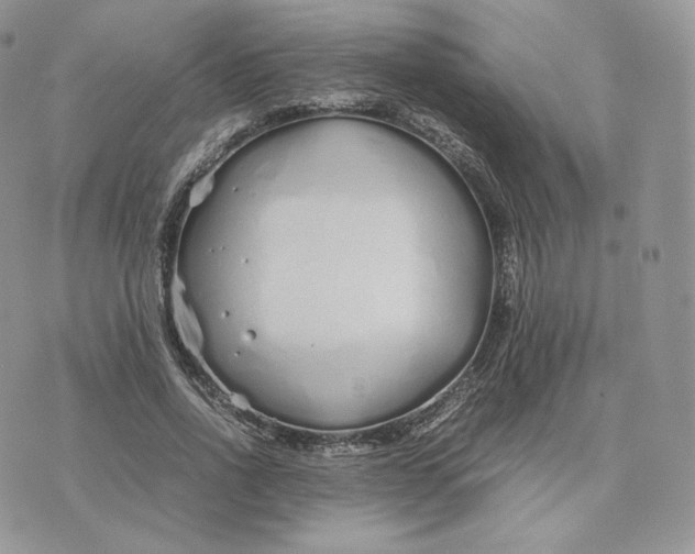 X0000075410734200609291705