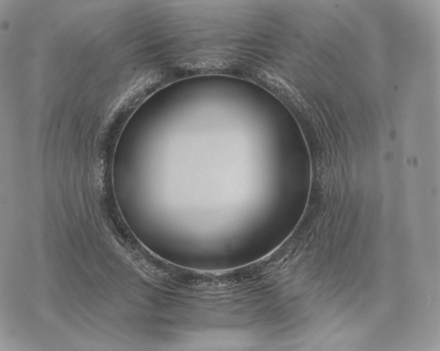 X0000075410735200609291705