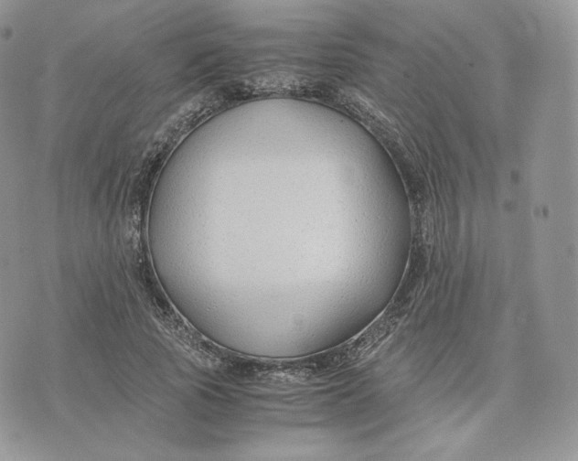 X0000075410737200609291705