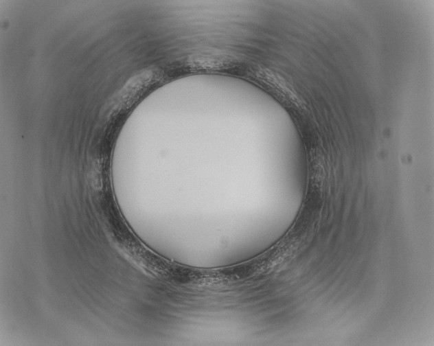 X0000075410738200609291705