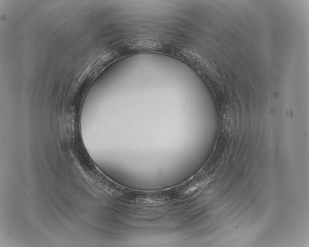 X0000075410739200609291706