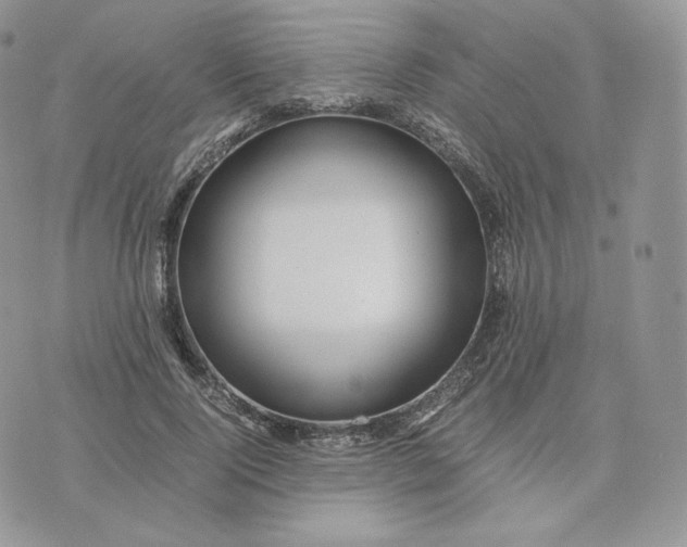 X0000075410740200609291706